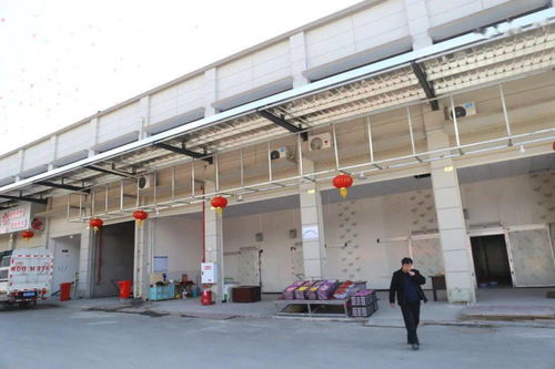 華南農產品批發市場春節銷售創佳績，金屬及金屬礦批發業務亮點頻現