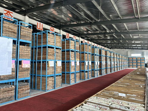 山東黃金探明國內最大單體金礦床，交出高質量發展新答卷